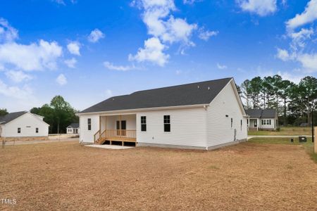 New construction Single-Family house 203 Sourgum Ct, Zebulon, NC 27597 - image