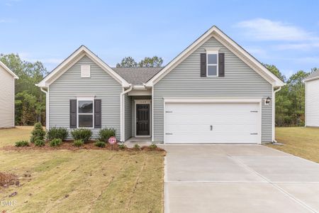 New construction Single-Family house 1640 Elk Run Dr, Fayetteville, NC 28312 - image