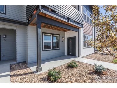 New construction Multi-Family house 2296 Setting Sun Dr, Unit 4, Windsor, CO 80550 Carnegie - photo 1 1