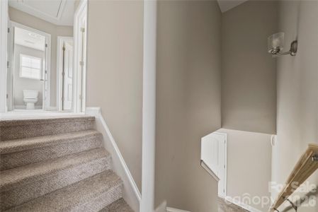 New construction Single-Family house 171 Yellow Branch Rd, Pageland, SC 29728 - image 14