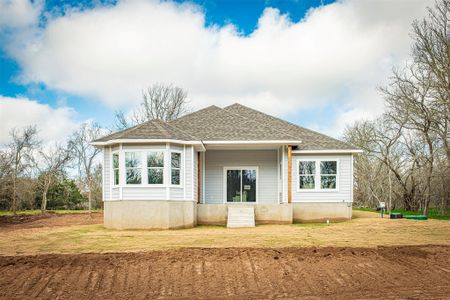 New construction Single-Family house 130 E Keomuku Ln, Bastrop, TX 78602 null- photo 14 14