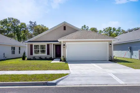 New construction Single-Family house 2572 Sw 250Th Ter, Newberry, FL 32669 - image