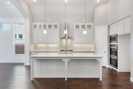 New construction Single-Family house 2036 Grey Birch Pl, Aledo, TX 76008 plan 217 - image 7