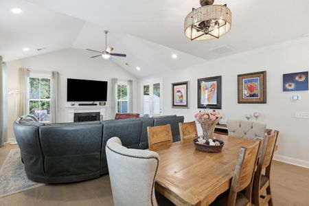 New construction Single-Family house 2021 Kings River Trl, Hollywood, SC 29449 - image 19