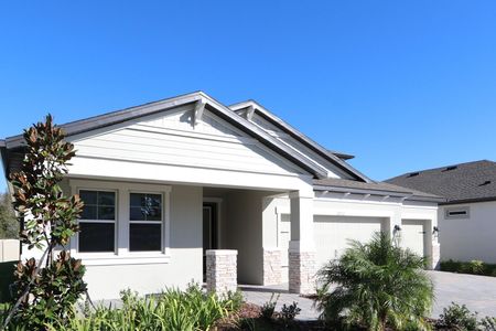 New construction Single-Family house 20112 Oriana Loop, Land O' Lakes, FL 34638 Corina  III Bonus- photo 107 107