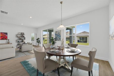 New construction Single-Family house 6218 Hidden Branch Dr, Apollo Beach, FL 33572 plan Brighton 3.0 - image 5