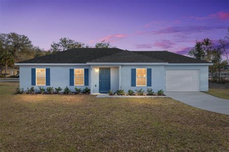 New construction Single-Family house 62 Walnut Ct, Ocala, FL 34480 - image