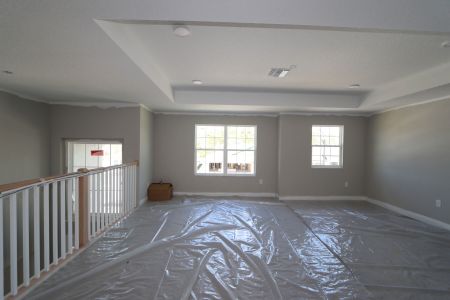 New construction Single-Family house 2350 Clary Sage Dr, Spring Hill, FL 34609 Sonoma II- photo 85 85