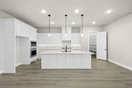 New construction Single-Family house 217 Raveena Blvd, Justin, TX 76247 plan Carmina - image 10