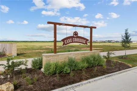 New construction Single-Family house 507 Cane Crossing Lake Dr, Sealy, TX 77474 plan Omaha - image