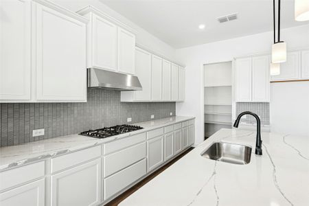 New construction Single-Family house 109 Mcnaughton Dr, Liberty Hill, TX 78642 - image 5