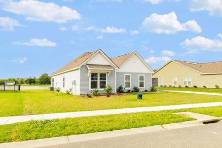 Timothy Lakes by Center Park Homes in Ridgeville - photo 17 17