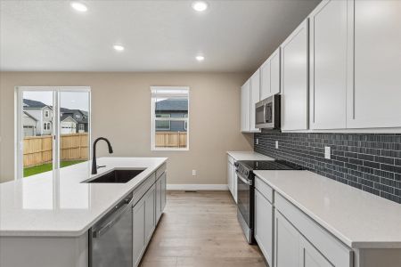 New construction Single-Family house 7716 Clear Amber, Colorado Springs, CO 80908 plan Boxelder - image 10