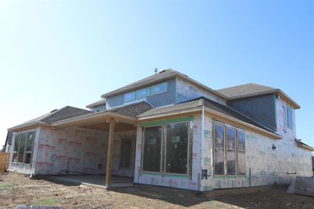 New construction Single-Family house 2105 Algardi Dr, Little Elm, TX 75068 Topaz- photo 2 2