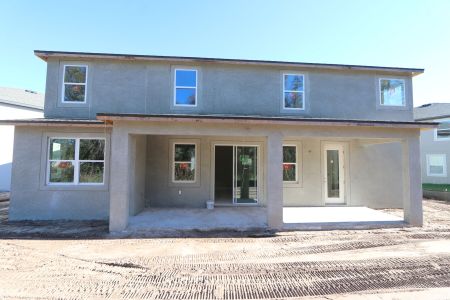 New construction Single-Family house 20125 Oriana Loop, Land O' Lakes, FL 34638 Santina II- photo 92 92