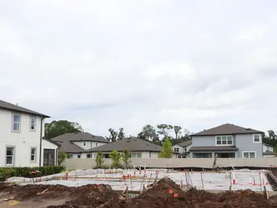 New construction Single-Family house 20002 Oriana Loop, Land O Lks, Land O' Lakes, FL 34638 plan Corina III Bonus - image