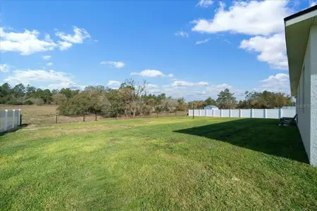 New construction Single-Family house 16195 Sw 48Th Cir, Ocala, FL 34473 - image 4