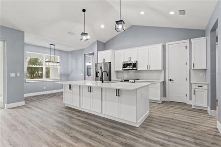 New construction Single-Family house 18315 Dells Cv, Groveland, FL 34736 null- photo 3 3