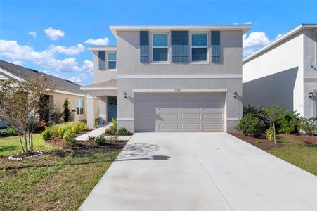 New construction Single-Family house 10215 Charlotte Dr, Parrish, FL 34219 - image