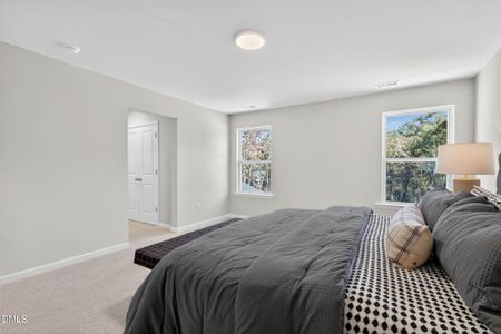 New construction Single-Family house 96 Eagle Rock Dr, Lillington, NC 27546 - image 7