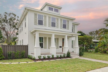 New construction Single-Family house 246 23Rd Ave Se, St. Petersburg, FL 33705 - image 17