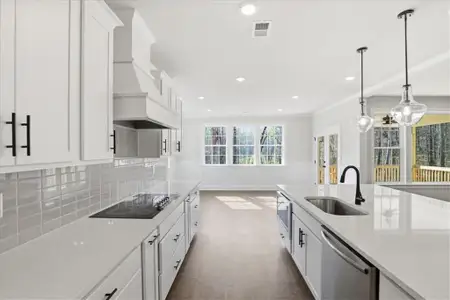 New construction Single-Family house 2032 Seclusion Trl, Monroe, GA 30656 - image 13