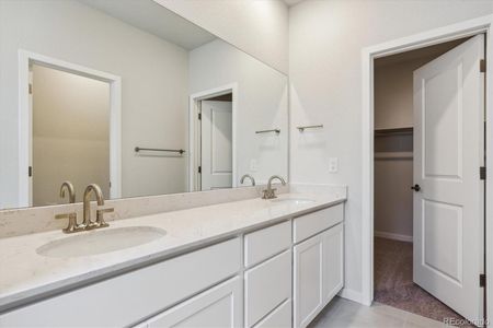 New construction Duplex house 14083 Deertrack Ln, Parker, CO 80134 Blue Spruce- photo 10 10