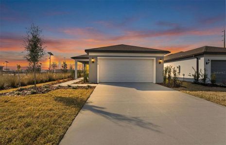 New construction Single-Family house 9024 Wildlight Trl, Wildwood, FL 34785 plan Daylen - image