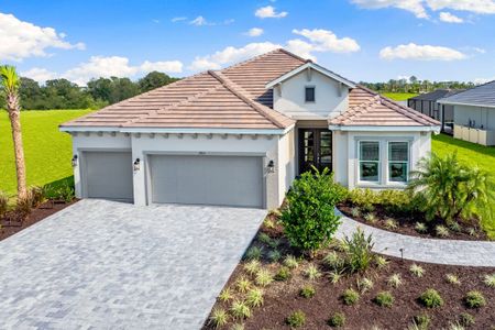 New construction Single-Family house 8354 Velda Trl, Sarasota, FL 34241 plan Pallazio II - image