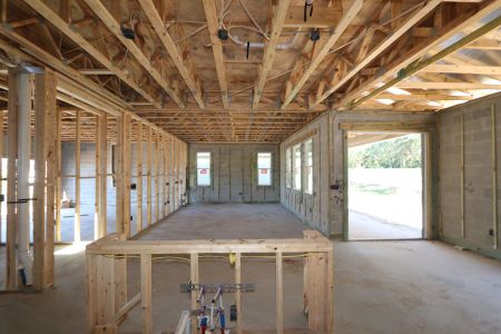 New construction Single-Family house 11984 Hilltop Farms Dr, Dade City, FL 33525 Casanova- photo 30 30