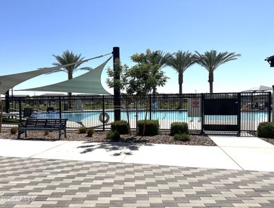 New construction Single-Family house 43499 N Wollemi St, Queen Creek, AZ 85140 plan 4504 - image 10