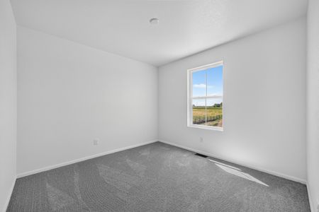 New construction Single-Family house 716 96Th, Greeley, CO 80634 plan Summit - image 18