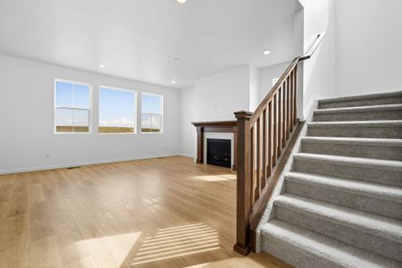 New construction Single-Family house 3639 Recess Ln, Castle Rock, CO 80108 plan Sedalia - image 18