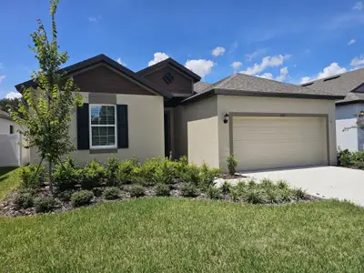 New construction Single-Family house 1247 Honeycomb Pl, Seffner, FL 33584 plan Sweetwater - image