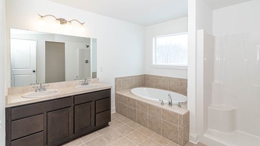 New construction Single-Family house 4841 Burton Ln, Saline, MI 48176 plan The Briarhaven III Side Entry - image 18