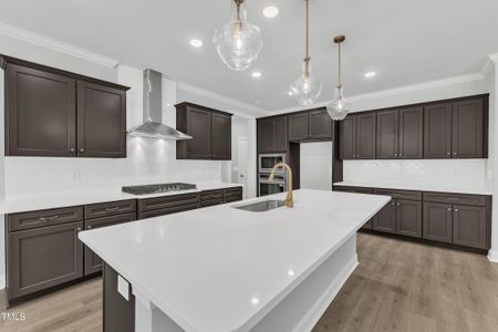 New construction Single-Family house 9164 Dupree Meadow Dr, Angier, NC 27501 plan The Hampton - image 14