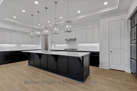 New construction Single-Family house 1614 Summer Pine Ct, Missouri City, TX 77459 plan Regis - image 9