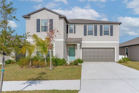 New construction Single-Family house 5462 Grays Harbor Ct, Wimauma, FL 33598 null- photo 1 1