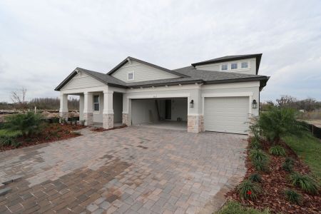 New construction Single-Family house 5867 Riverston Ave, Wesley Chapel, FL 33545 Corina  III Bonus- photo 112 112