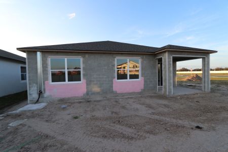 New construction Single-Family house 3164 Adams Cross Dr, Zephyrhills, FL 33540 Marque- photo 44 44