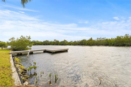 New construction Single-Family house 8942 Rocky Creek Drive, Tampa, FL 33615 - photo 0