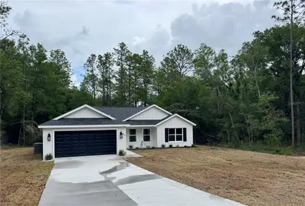 New construction Single-Family house 19779 Sw 50Th Pl, Dunnellon, FL 34431 - image
