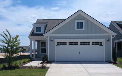 New construction Single-Family house 4157 Yellow Flag Iris St, Leland, NC 28479 plan Contour - image