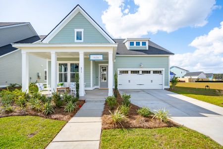 New construction Single-Family house 428 Parish Farms Drive, Summerville, SC 29486 HAYDEN- photo 0