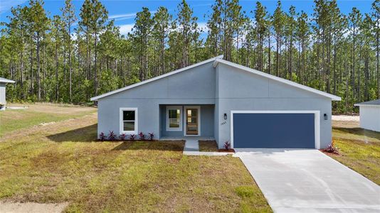 New construction Single-Family house 7883 Sw 138Th Street Rd, Ocala, FL 34473 null- photo 0