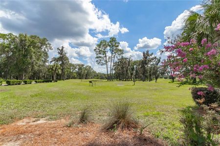 New construction Single-Family house 19610 Sw 93Rd Pl, Dunnellon, FL 34432 null- photo 60 60