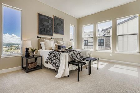 New construction Single-Family house 2011 Grayside Cir, Castle Rock, CO 80109 - image 9