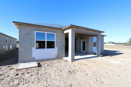 New construction Single-Family house 3150 Adams Cross Dr, Zephyrhills, FL 33540 Miranda- photo 21 21