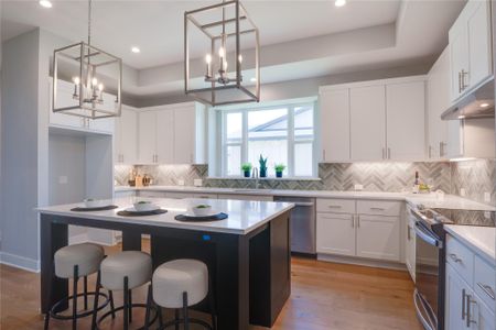 New construction Single-Family house 2140 Quiet Stables Cir, Cedar Park, TX 78613 Martin- photo 9 9