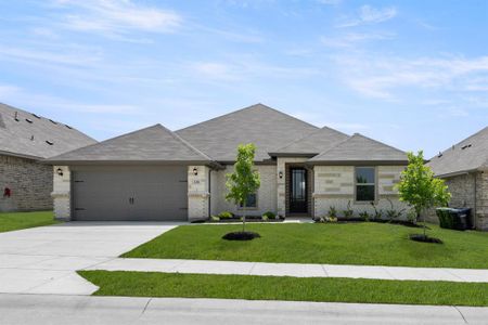 New construction Single-Family house 228 Shepards St, Godley, TX 76044 plan Hampton - image